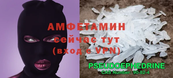 шишки Абаза