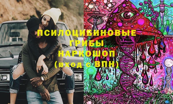 шишки Абаза