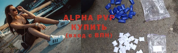шишки Абаза