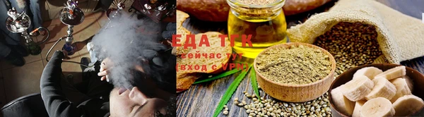 шишки Абаза