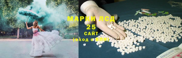 шишки Абаза