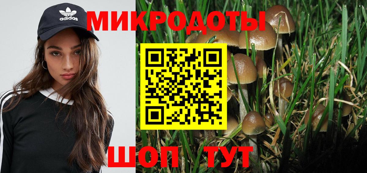 Псилоцибиновые грибы Psilocybine cubensis Звенигород