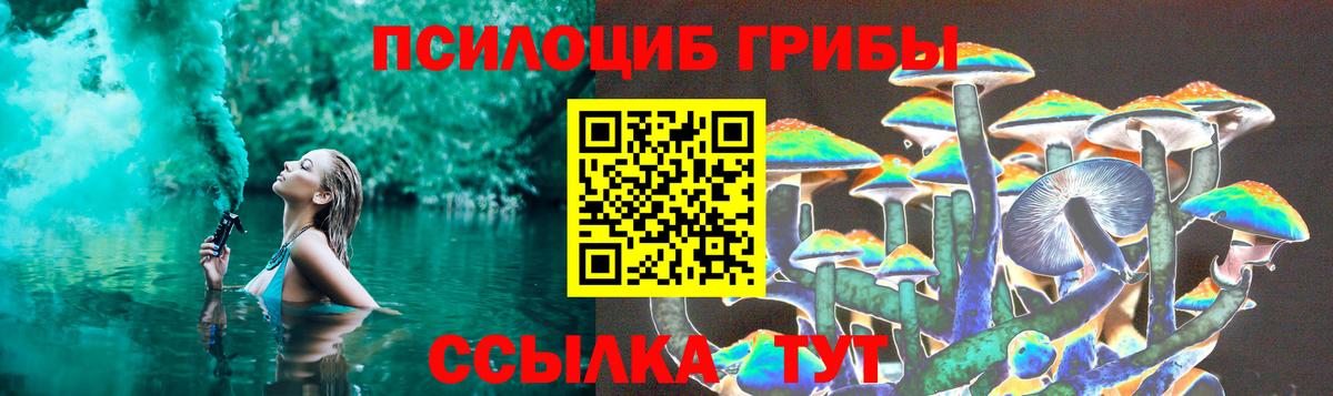 что такое   Галлюциногенные грибы Psilocybe  Галлюциногенные грибы Magic Shrooms  Вход с VPN  Звенигород 
